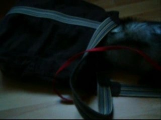 Yuki