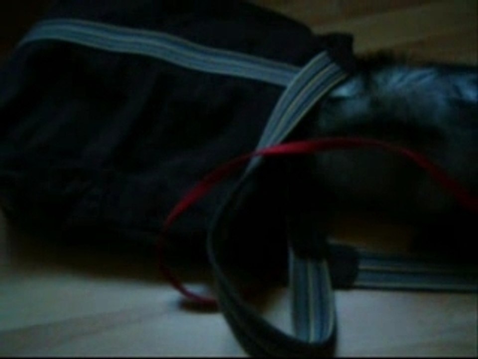 Yuki