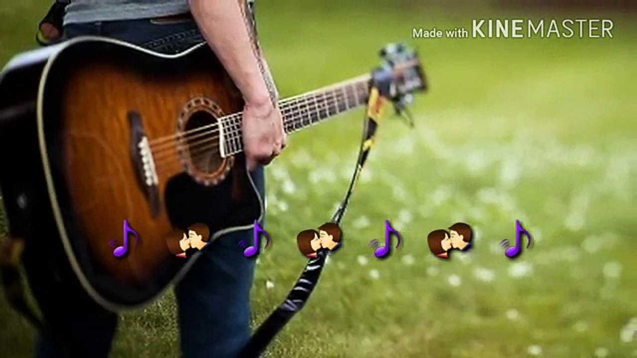 Whatsapp status video