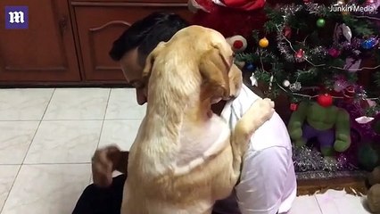 Après son opération, ce chien a fait le plus gros câlin du monde à son humain !