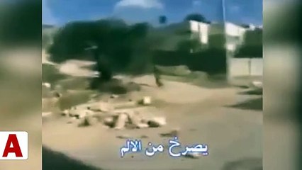 İşgalci İsrail askerlerinin Dünyaya rezil olduğu anlar kamerada