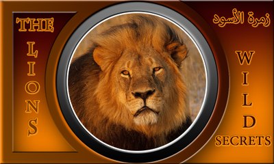 تعرف على زمرة الأسود المفترسة