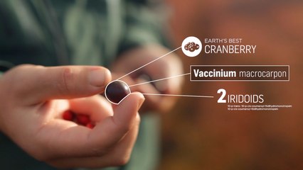 DISCOVERING EARTH'S BEST CRANBERRY - No3