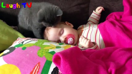 Try Not To Laugh Funny Cats Videos - Best Of Cats Love Babies Compilation 2016