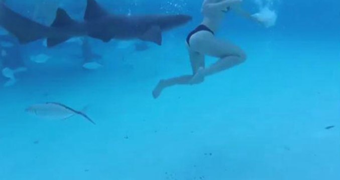 Genç Kadın Köpek Balıklarının Saldırısına Uğradı, Kocası Kamerayla Kaydetti