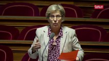 Le Sénat français taxe les géants du numérique, comme en Grande-Bretagne