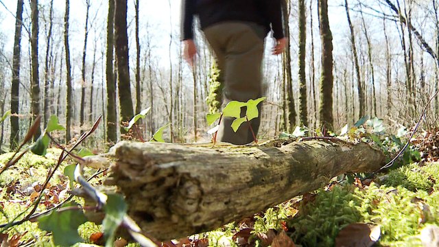 JT breton du mardi 12 décembre 2017 : touriste, qui es-tu ?