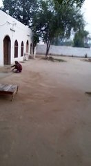 VID-20171004-WA0030