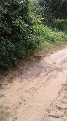 VID-20171004-WA0024