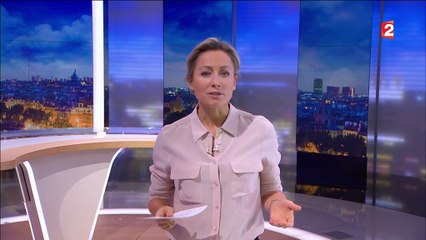 Environnement : les forêts tropicales à l'agonie ?