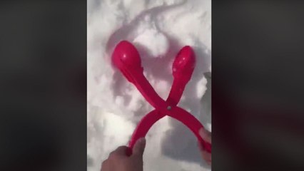 La pince à boule de neige