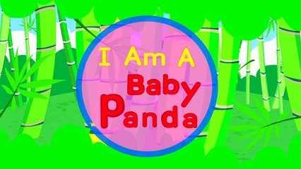 I'm a Baby Panda! Baby Animals Song! _ Kids Songs _ by Little Angel-EYucByOEU3E