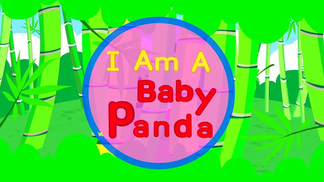 I'm a Baby Panda! Baby Animals Song! _ Kids Songs _ by Little Angel-EYucByOEU3E