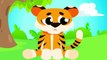 Where Are My Tiger Paws   Can You Help Baby Tiger Find His Paws❓ Tiger Stripes by Little Angel-Ty1Dcs81tWo