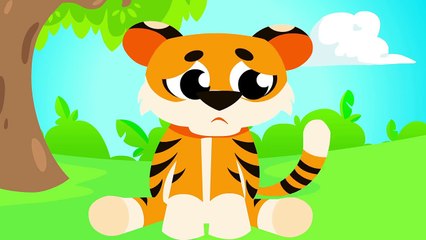Where Are My Tiger Paws   Can You Help Baby Tiger Find His Paws❓ Tiger Stripes by Little Angel-Ty1Dcs81tWo
