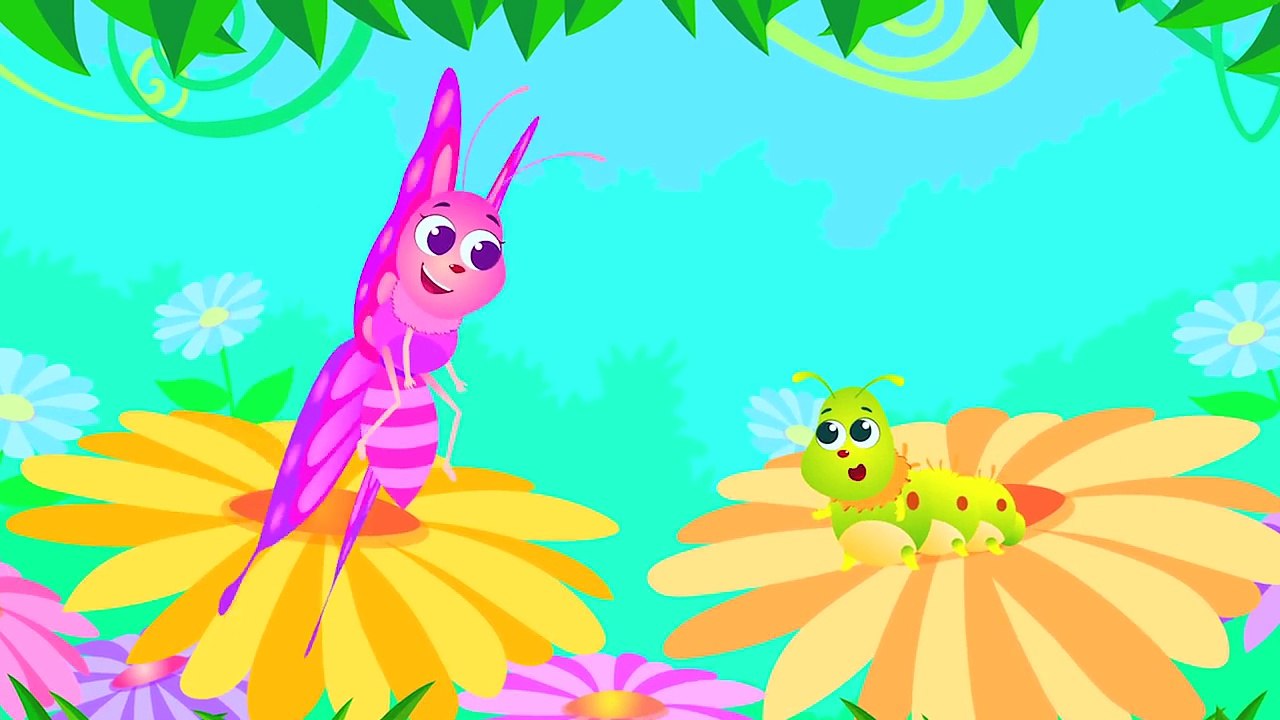 Where are My Wings _ The Caterpillar Becomes a...