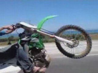 tintin au bled a voir