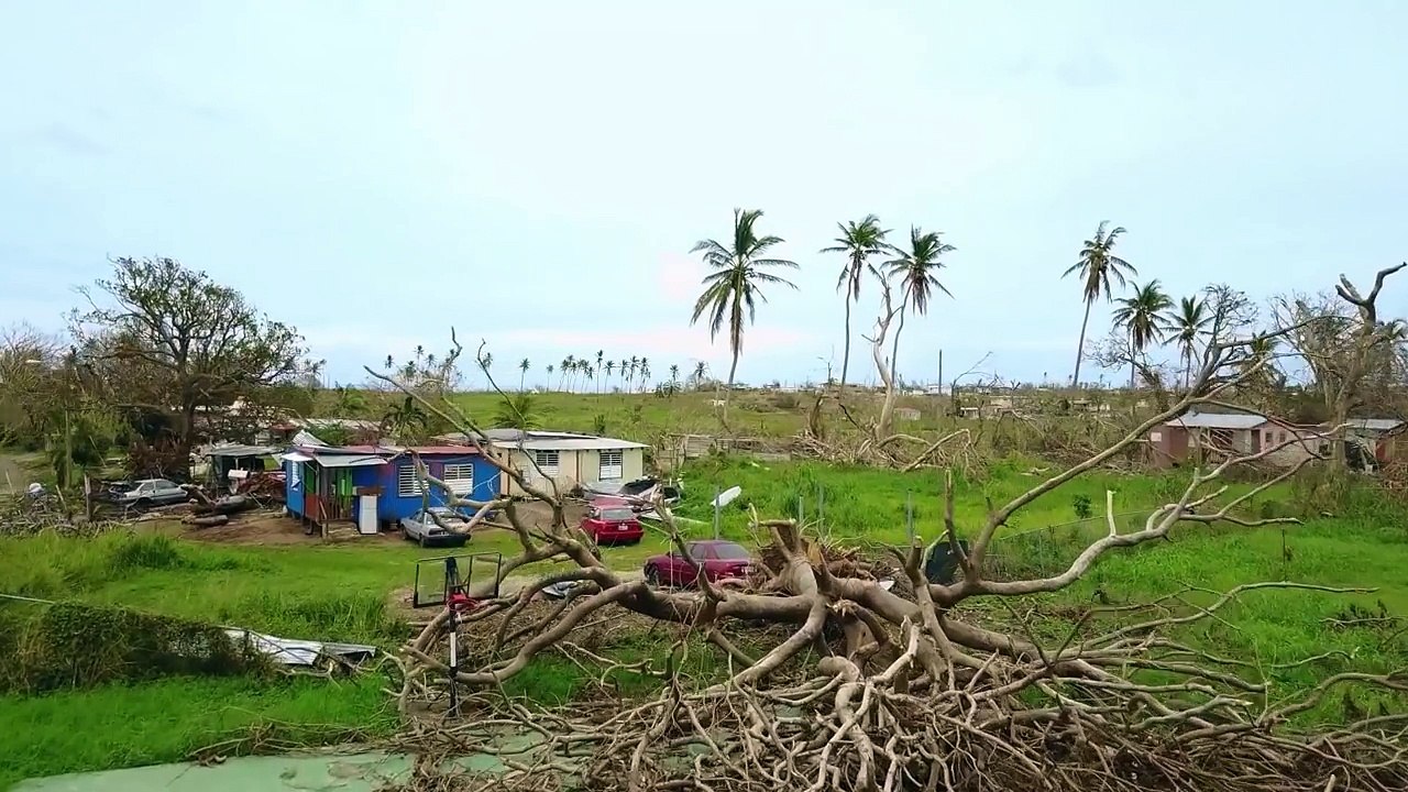 Puerto Rico Relief Efforts - Crazy Legs and Waves For Water-2lCHrqx595s