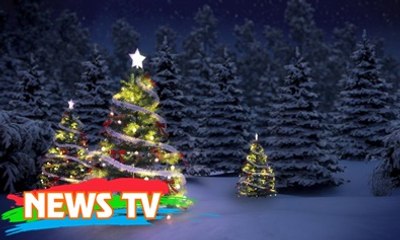 Nguồn gốc và ý nghĩa của cây thông Noel