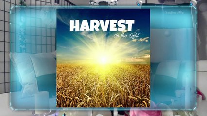 In the light Christmas story