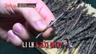 (보습 팡팡) 사막의 장미 '부활초'를 이용한 천연화장품 TV정보쇼 오!아시스 5회-VqqA3xCJ7ss