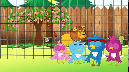 Birds Family - Trip to the zoo full of fun with family Cartoon Animation  Full HD - Funny Story