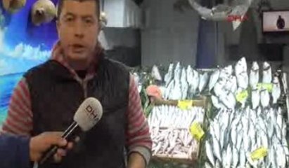Lüfer gram altınla yarışıyor