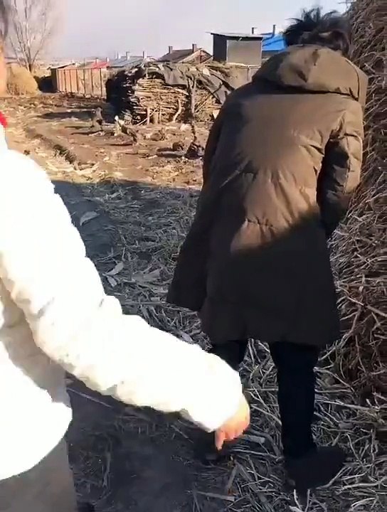 MA CE SCHIFO!!!