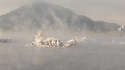 최강 한파...소양강 상고대 3년 만에 '활짝' / YTN