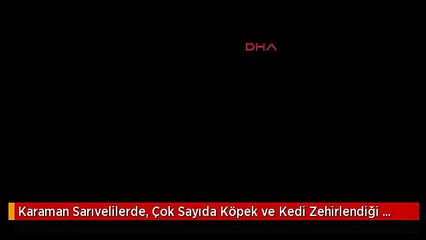 Karaman Sarıvelilerde, Çok Sayıda Köpek ve Kedi Zehirlendiği İddiası