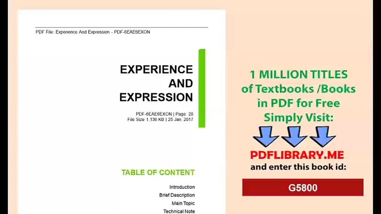 Experience And Expression