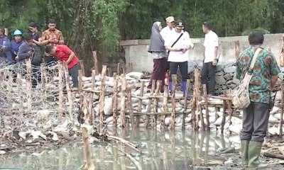 Gubernur DKI Kembali Tinjau Tanggul Jati Padang