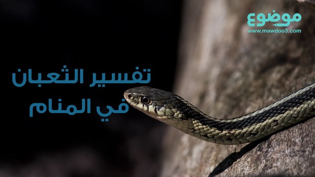الثعبان في المنام