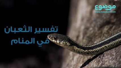 الثعبان في المنام