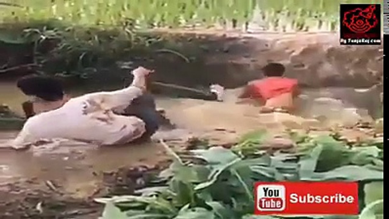 Funny_Video_1