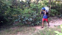 Awesome Quick Bird Trap Using Electric Fan Guard And Plastic Bottle - How To Make That Work 100%