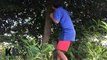 Terrifying! Boy Catch Big Snake Nearby Tractor While Fix Road - How To Catch Big Snakee!