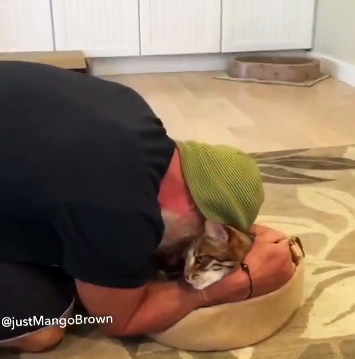 Cet homme et son chat son les meilleurs amis du monde... Incroyable