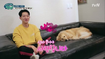 이정신 멍뭉이 ′심바′, 이렇게 착한 강아지는 처음이야..!