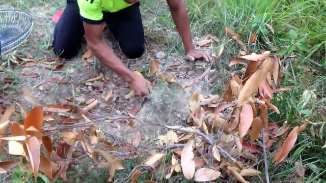 Amazing Quick Rabbit Trap Using Two Electric Fan Guard - How To Make Live Rabbit Trap Work 100%