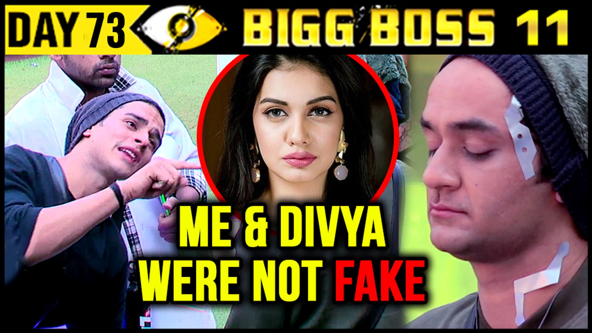 bigg boss 11 dailymotion