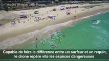 Australie: des drones sur les plages à la recherche de requins