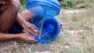 Awesome Quick Bird Trapping & Quail Using Water Plastic Bottle - Easy Best Bird Traps Work 100%