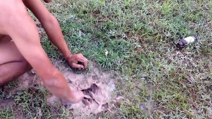 Amazing Catches Crabs in Cambodia - How To Catch Crabs By Hand in Cambodia
