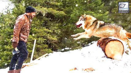 Salman's Fight With WOLVES For Tiger Zinda Hai | Katrina Kaif