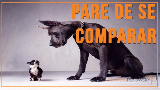 Pare De Se Comparar Com Outros E Descubra Suas Forças Para O Seu Sucesso - SWOT