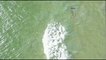 Australie: des drones sur les plages à la recherche de requins