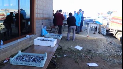 3 Ton Hamsi Bir Saatte Bitti