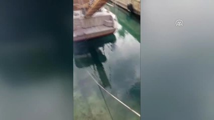 Teknecilerin "Akdeniz Foku" Heyecanı