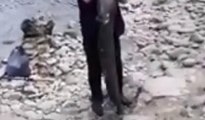 Artvinli balıkçının oltasına 40 kiloluk yayın balığı takıldı... 'Ula çekma'